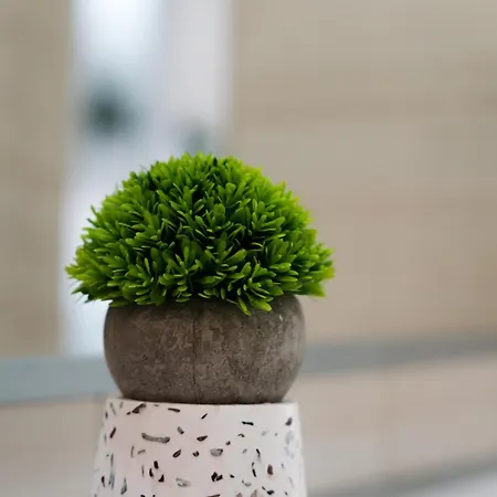 Szechenyi Apartament