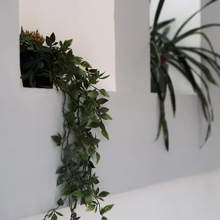 Szechenyi Apartament *